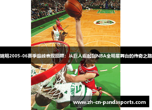 姚明2005-06赛季巅峰表现回顾：从巨人崛起到NBA全明星舞台的传奇之路