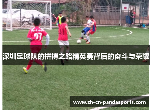 深圳足球队的拼搏之路精英赛背后的奋斗与荣耀