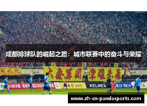 成都排球队的崛起之路：城市联赛中的奋斗与荣耀